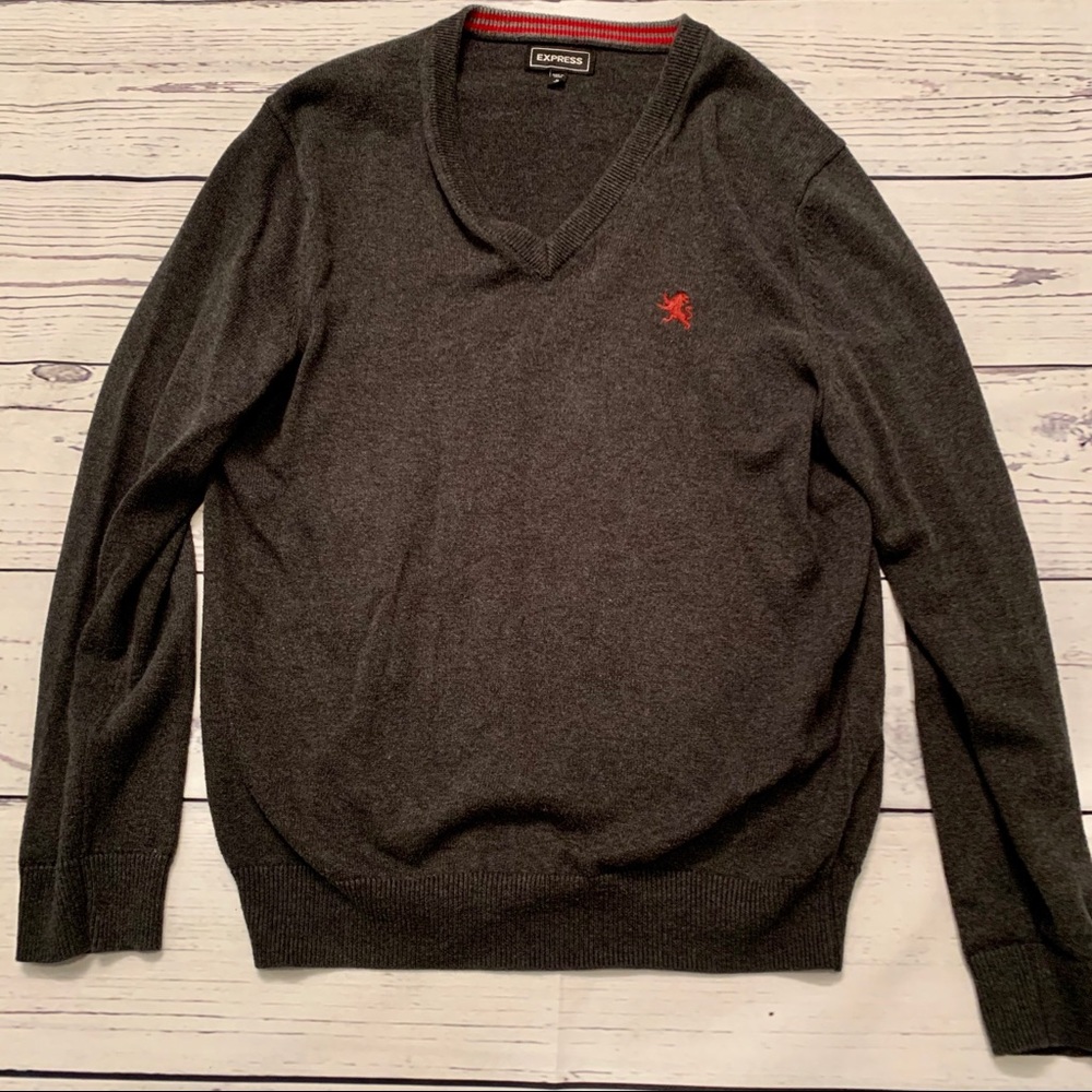 Express v-neck sweater